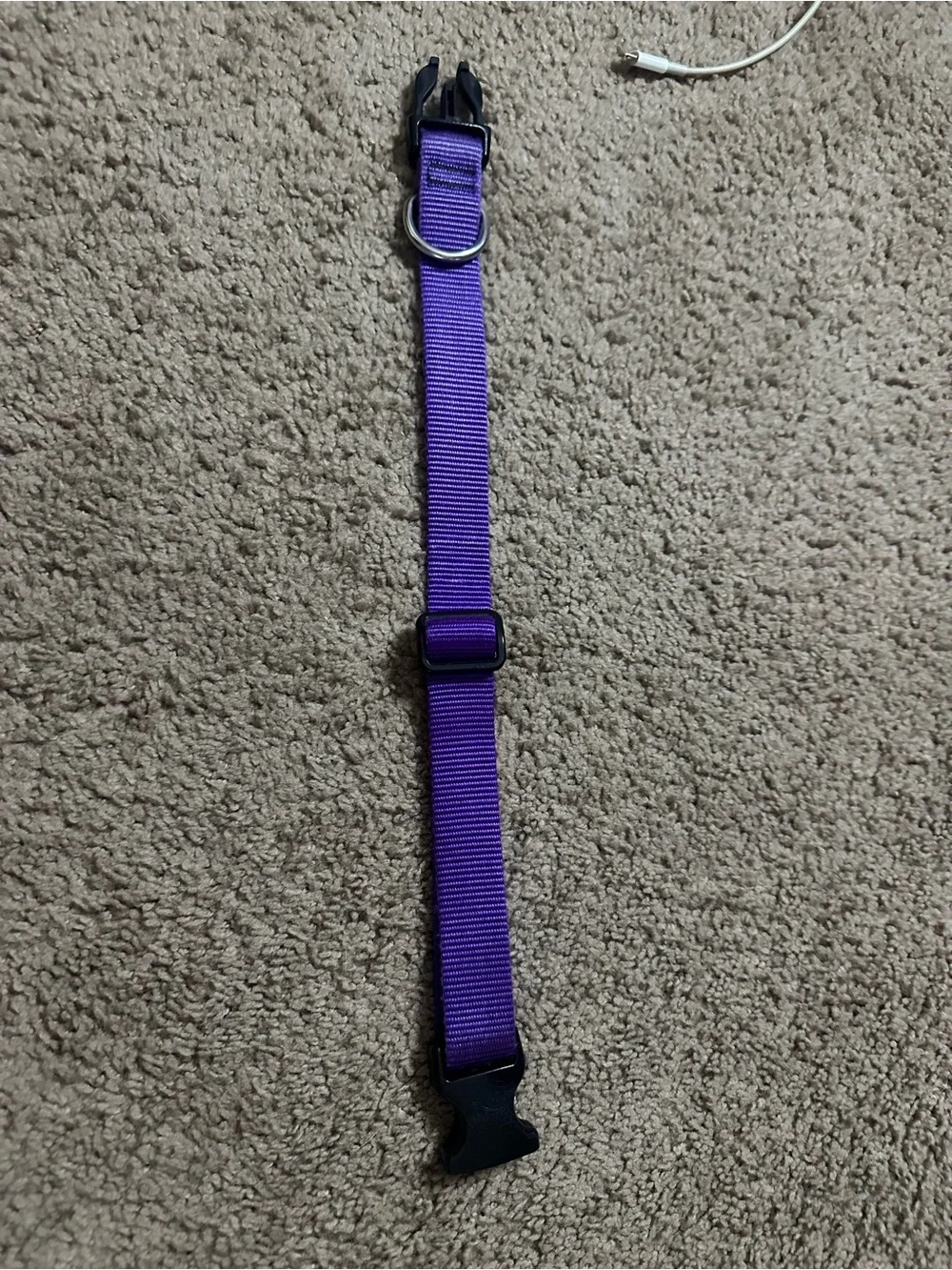 Medium/Large Adjustable Purple Dog Collar with Quick-Release Buckle